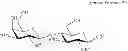 Fig. 28 - Production of 6′-O-sialyllactose and intermediates