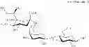 Fig. 32 - Production of 6′-O-sialyllactose and intermediates