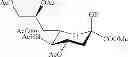 Fig. 45 - Production of 6′-O-sialyllactose and intermediates