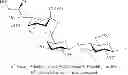 Fig. 63 - Production of 6′-O-sialyllactose and intermediates