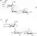 Fig. 65 - Production of 6′-O-sialyllactose and intermediates