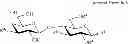 Fig. 72 - Production of 6′-O-sialyllactose and intermediates