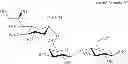 Fig. 85 - Production of 6′-O-sialyllactose and intermediates