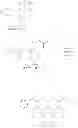 Fig. 262 - Bisphosphonate compounds