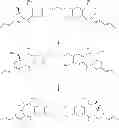 Fig. 131 - Intermediates useful for the synthesis of pyrrolobenzodiazepines