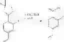 Fig. 09 - Bioavailable diacylhydrazine ligands for modulating the expression of exogenous genes via an ecdysone receptor complex