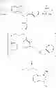 Fig. 47 - Process for preparing benzoxaboroles