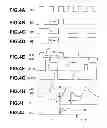 Fig. 04 - Electronic endoscope apparatus