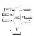 Fig. 01 - Centralized Identification and Authentication System and Method
