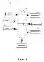 Fig. 02 - Centralized Identification and Authentication System and Method