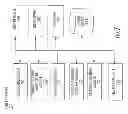 Fig. 08 - Discovery of non-standard folders for backup
