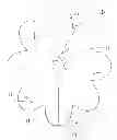 Fig. 01 - Eco-safe plant protector