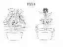 Fig. 07 - Eco-safe plant protector