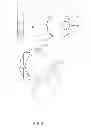 Fig. 04 - DOOR PEEPHOLE BLOCKING DEVICE