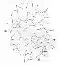 Fig. 01 - Irregular tessellated building units