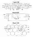 Fig. 29 - Floating ice sheet based renewable thermal energy harvesting system