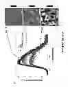 Fig. 06 - Methods of making organic photovoltaic cells having improved heterojunction morphology