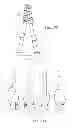 Fig. 48 - Methods and apparatus for application of nested zero waste ear to traveling web and formation of articles using a dual cut slip unit