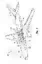 Fig. 02 - Composite sections for aircraft fuselages and other structures, and methods and systems for manufacturing such sections