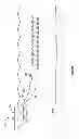 Fig. 19 - Electromagnetic linear actuators for marine acoustic vibratory sources