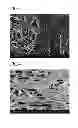 Fig. 03 - Composite separation membrane and separation membrane element using the same