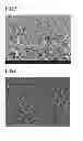 Fig. 04 - Composite separation membrane and separation membrane element using the same