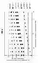 Fig. 07 - ELECTRONIC DEVICE AND ELECTRONIC DEVICE CONTROL METHOD