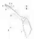 Fig. 23 - Cooking vessel and utensil