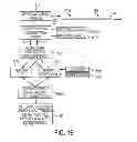 Fig. 11 - Compact analyzer with spatial modulation and multiple intensity modulated excitation sources