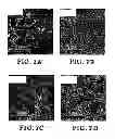 Fig. 04 - Filter casting nanoscale porous materials