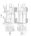 Fig. 04 - Display device including plural displays