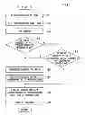 Fig. 07 - Imaging apparatus, imaging apparatus body, and shading correcting method