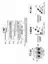 Fig. 06 - Apparatus of inspecting defect in semiconductor and method of the same