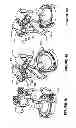 Fig. 41 - Method and apparatus for lighting involving reflectors