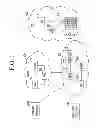 Fig. 02 - Apparatus and method for seamless handoff of a service between different types of networks