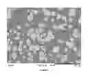 Fig. 02 - HARD METAL MATERIALS