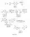 Fig. 15 - Efficient synthesis of chelators for nuclear imaging and radiotherapy: compositions and applications