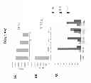 Fig. 07 - ADHERENT STROMAL CELLS DERIVED FROM PLANCENTAS OF MULTIPLE DONORS AND USES THEREOF