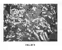 Fig. 03 - Method for treating a surface with a coating comprising a microencapsulated therapeutic agent and device with treated surface