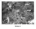 Fig. 04 - Method for treating a surface with a coating comprising a microencapsulated therapeutic agent and device with treated surface