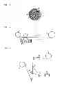 Fig. 02 - RIPCORD OF OPTIC CABLES AND METHOD OF MANUFACTURING THE SAME