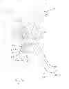 Fig. 03 - Orthodontic torquing