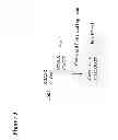 Fig. 04 - METHODS FOR GENETIC ANALYSIS OF DNA TO DETECT SEQUENCE VARIANCES