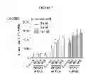 Fig. 06 - Methods of using lung or bronchial epithelial cells to identify bitter taste modulators