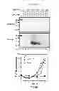 Fig. 07 - DETECTION OF INFECTIOUS PRION PROTEIN BY SEEDED CONVERSION OF RECOMBINANT PRION PROTEIN