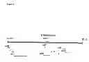 Fig. 02 - Detection kit containing a novel recombinant 15-kDA polypeptide useful for detecting human infection with 