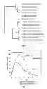 Fig. 07 - NOVEL 7beta-HYDROXYSTEROID DEHYDROGENASES AND THEIR USE