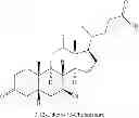 Fig. 13 - NOVEL 7beta-HYDROXYSTEROID DEHYDROGENASES AND THEIR USE