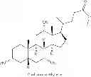 Fig. 16 - NOVEL 7beta-HYDROXYSTEROID DEHYDROGENASES AND THEIR USE