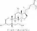 Fig. 17 - NOVEL 7beta-HYDROXYSTEROID DEHYDROGENASES AND THEIR USE